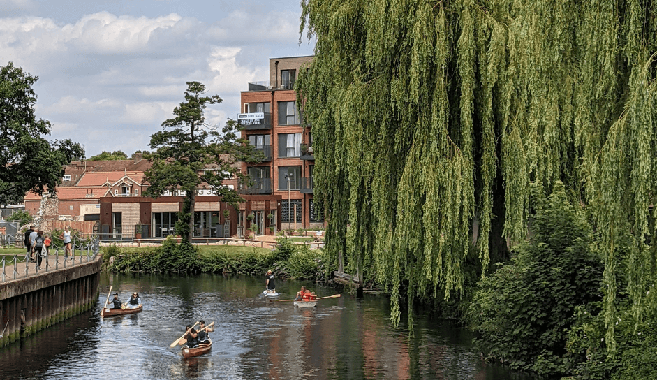 norfolk paddle boarding hire rental near me