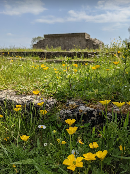 english heritage binham priory