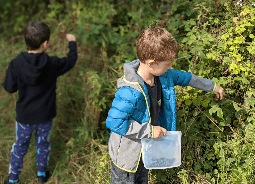 foraging kit storage